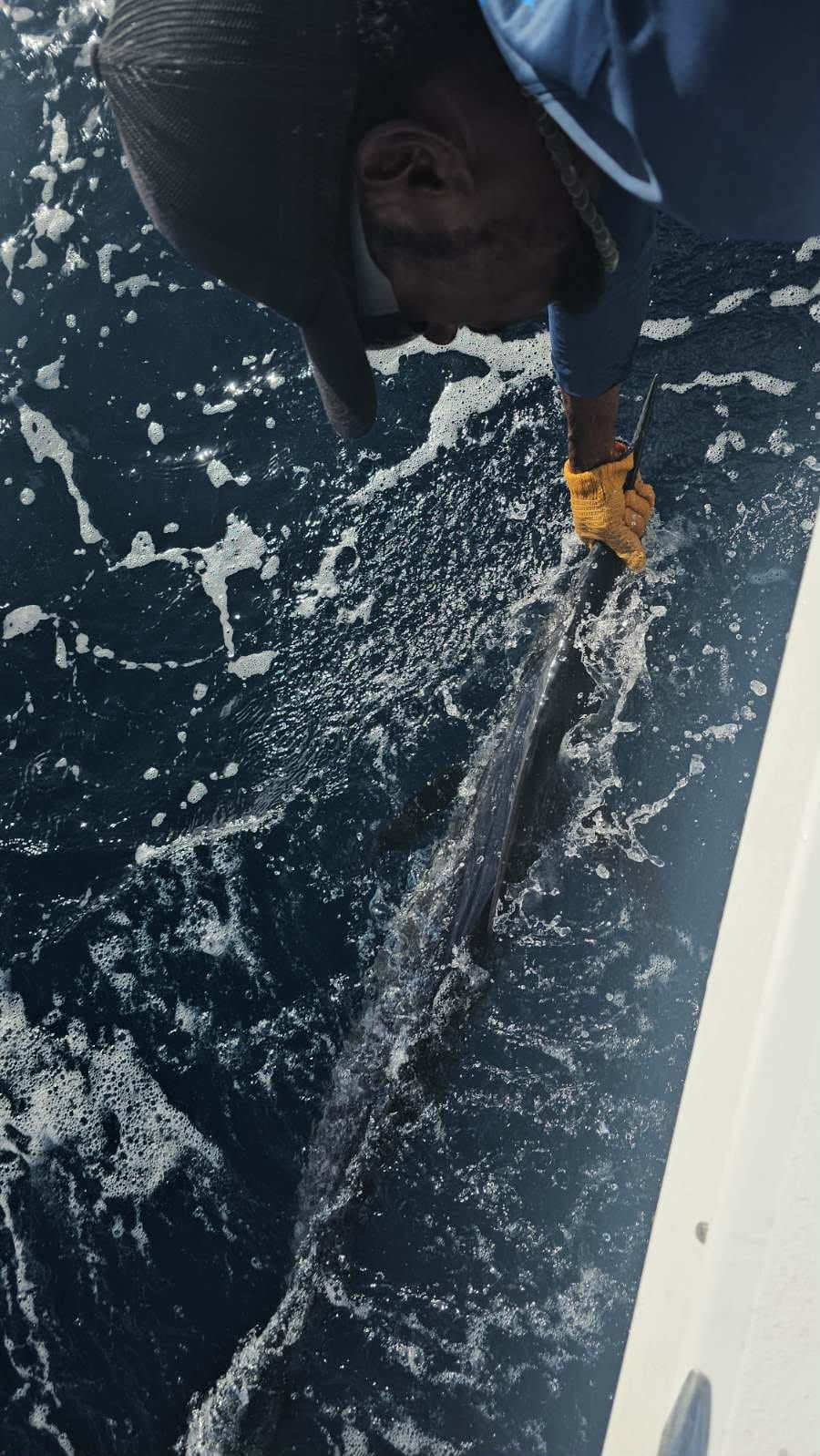 Deep Sea Fishing - Saint Lucia